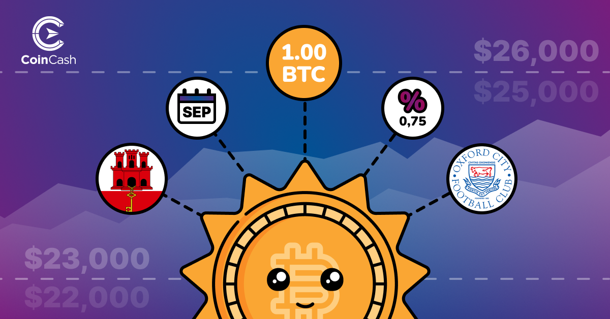 Bitcoin Hodler hírösszefoglaló - 31. hét